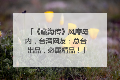 《藏海传》风靡岛内，台湾网友：总台出品，必属精品！