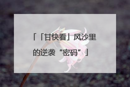 「甘快看」风沙里的逆袭“密码”