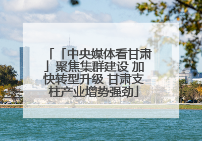 「中央媒体看甘肃」聚焦集群建设 加快转型升级 甘肃支柱产业增势强劲