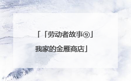 「劳动者故事⑨」我家的金雁商店