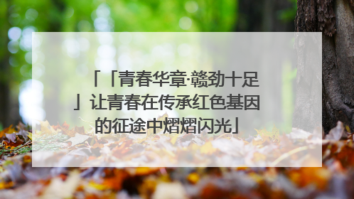 「青春华章·赣劲十足」让青春在传承红色基因的征途中熠熠闪光