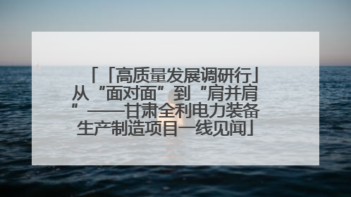 「高质量发展调研行」从“面对面”到“肩并肩”——甘肃全利电力装备生产制造项目一线见闻