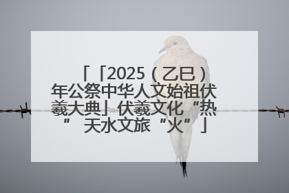 「2025（乙巳）年公祭中华人文始祖伏羲大典」伏羲文化“热” 天水文旅“火”