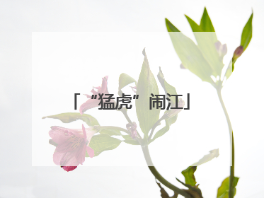 “猛虎”闹江