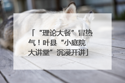 “理论大餐”冒热气！叶县“小庭院 大讲堂”沉浸开讲