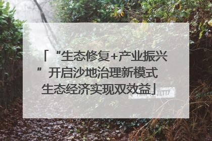 “生态修复+产业振兴”开启沙地治理新模式 生态经济实现双效益