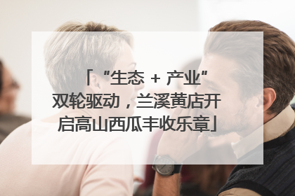 “生态 + 产业”双轮驱动，兰溪黄店开启高山西瓜丰收乐章