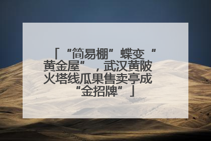 “简易棚”蝶变“黄金屋”，武汉黄陂火塔线瓜果售卖亭成“金招牌”