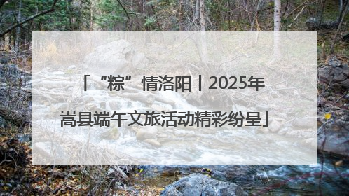 “粽”情洛阳丨2025年嵩县端午文旅活动精彩纷呈