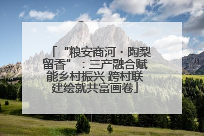 “粮安商河・陶梨留香”：三产融合赋能乡村振兴 跨村联建绘就共富画卷
