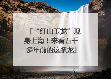 “红山玉龙”现身上海！来看五千多年前的这条龙