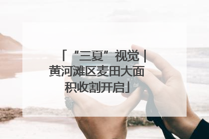 “三夏”视觉｜黄河滩区麦田大面积收割开启