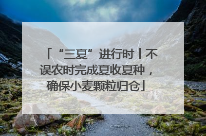 “三夏”进行时丨不误农时完成夏收夏种，确保小麦颗粒归仓