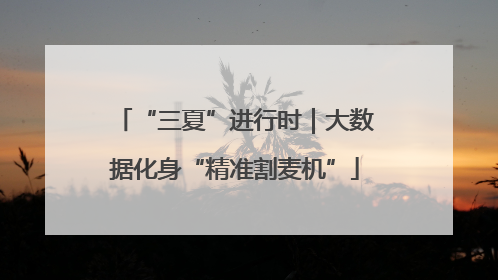 “三夏”进行时｜大数据化身“精准割麦机”