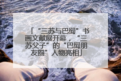 “三苏与巴蜀”书画文献展开幕，“三苏父子”的“巴蜀朋友圈”人物亮相
