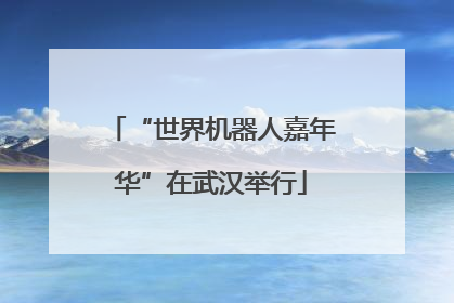 “世界机器人嘉年华”在武汉举行
