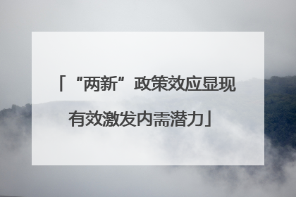 “两新”政策效应显现 有效激发内需潜力