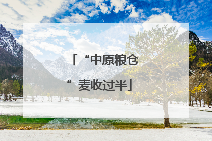 “中原粮仓”麦收过半