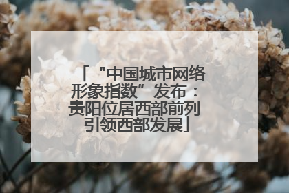 “中国城市网络形象指数”发布：贵阳位居西部前列 引领西部发展