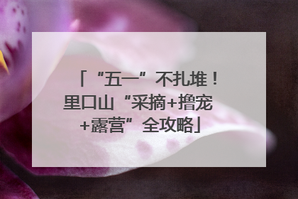 “五一”不扎堆！里口山“采摘+撸宠+露营”全攻略