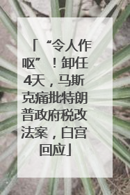 “令人作呕”！卸任4天，马斯克痛批特朗普政府税改法案，白宫回应