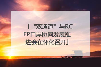 “双通道”与RCEP口岸协同发展推进会在怀化召开