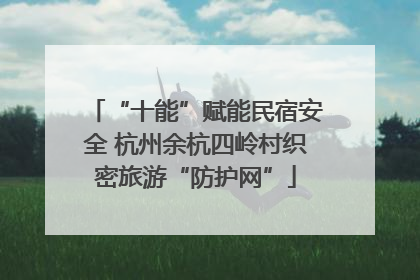 “十能”赋能民宿安全 杭州余杭四岭村织密旅游“防护网”
