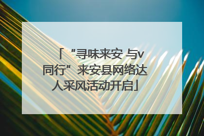 “寻味来安 与v同行”来安县网络达人采风活动开启