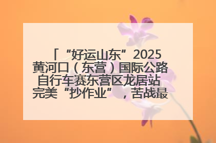 “好运山东”2025黄河口（东营）国际公路自行车赛东营区龙居站 完美“抄作业”，苦战最后时刻黄衫易主