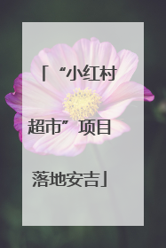 “小红村超市”项目落地安吉