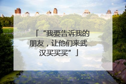 “我要告诉我的朋友，让他们来武汉买买买”