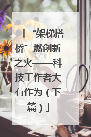 “架梯搭桥”燃创新之火——科技工作者大有作为（下篇）
