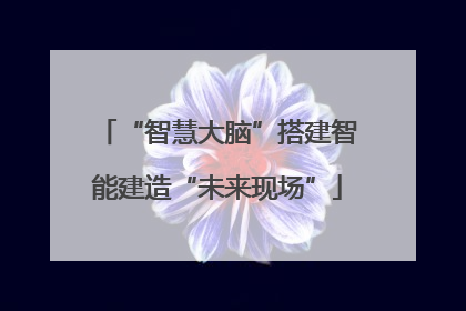 “智慧大脑”搭建智能建造“未来现场”