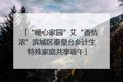 “暖心家园”艾“香情浓”滨城区秦皇台乡计生特殊家庭共享端午