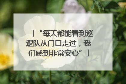 “每天都能看到巡逻队从门口走过，我们感到非常安心”