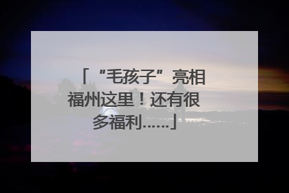 “毛孩子”亮相福州这里！还有很多福利……