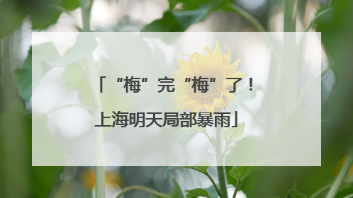 “梅”完“梅”了！上海明天局部暴雨
