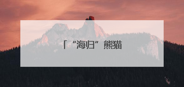 “海归”熊猫，温州亮相