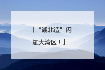 “湖北造”闪耀大湾区！