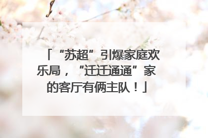 “苏超”引爆家庭欢乐局，“迁迁通通”家的客厅有俩主队！
