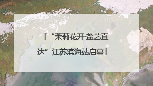 “茉莉花开·盐艺直达”江苏滨海站启幕