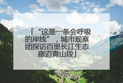 “这是一条会呼吸的岸线”，城市观察团探访百里长江生态廊道青山段