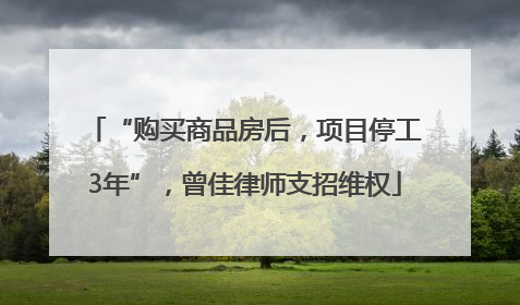 “购买商品房后，项目停工3年”，曾佳律师支招维权