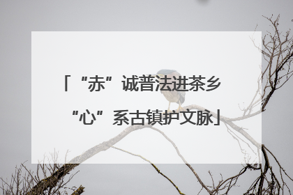 “赤”诚普法进茶乡 “心”系古镇护文脉