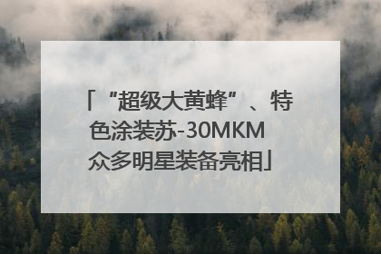 “超级大黄蜂”、特色涂装苏-30MKM 众多明星装备亮相