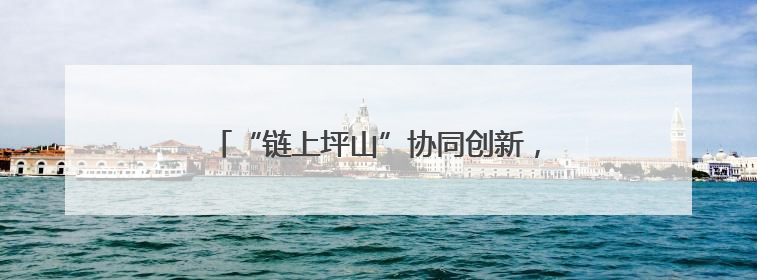 “链上坪山”协同创新，为企业发展充“储”未来