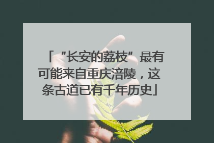 “长安的荔枝”最有可能来自重庆涪陵，这条古道已有千年历史