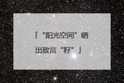 “阳光空间”晒出致富“籽”