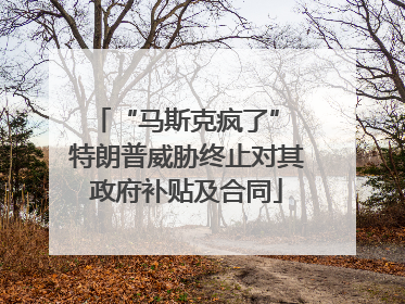 “马斯克疯了” 特朗普威胁终止对其政府补贴及合同