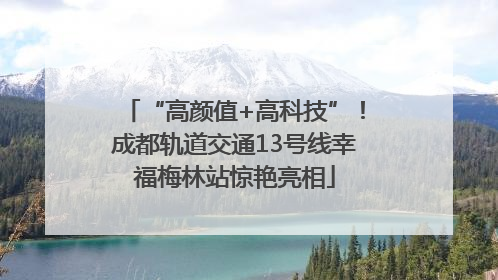 “高颜值+高科技”！成都轨道交通13号线幸福梅林站惊艳亮相